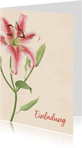 Einladungskarte zum Geburtstag mit rosa Lilie