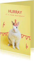 Geburtstagskarte Kaninchen mit Partyhut