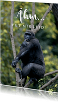Grußkarte Affe 'Tut mir leid'