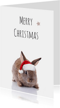 Lustige Weihnachtskarte Hase mit Weihnachtsmütze