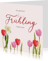 Frühlingsgrußkarte mit Tulpen