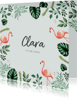 Geburtskarte Flamingo botanisch
