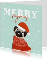 Lustige Weihnachtskarte 'Merry Pugmas'