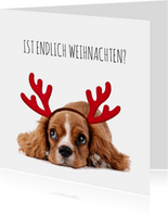 Weihnachtskarte Hund Welpe mit Hirschgeweih