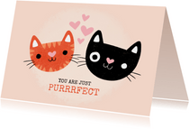 Valentinskarte 'Purrrfect' mit Katzen