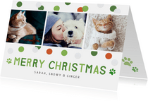 Weihnachtskarte Fotocollage mit Haustieren