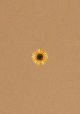Einladungskarte Konfirmation Sonnenblumen Rückseite