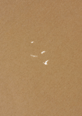 Foto-Einladung Jugendweihe auf Kraftpapier mit Vögeln Rückseite
