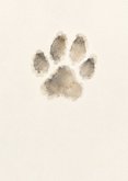 Beileidskarte Pfotenabdruck Hund Aquarell 2
