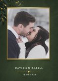 Dunkelgrün Savet he Date Botanisch Goldkleckse 2