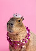 Geburtstagskarte Capybara Krone & Sternchenkette 2