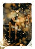 Neujahrsgruß 2027 Goldlook botanisch mit Foto 2