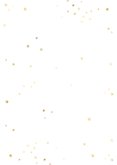 Neujahrsgruß 2027 Goldlook botanisch mit Foto Rückseite