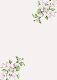 Save-the-Date-Karte Apfelblüte Rückseite