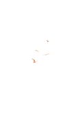 Trauerkarte Foto Beige Aquarell Vögel Rückseite