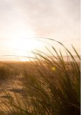 Urlaubskarte Fotocollage Sylt 2