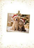 Weihnachtskarte Hund & Katze mit Weihnachtsmütze 2