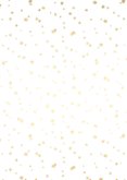 Weihnachtskarte mit Foto und goldenen Sternen  Rückseite