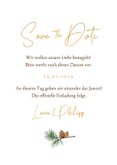 Winter Save-the-Date-Hochzeitskarte Tannenzweige 3