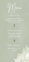 Rückseite