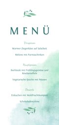 Rückseite