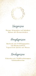 Rückseite