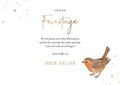 Second Ave Weihnachtskarte Mit Rotkehlchen – Festliches Design Auf 350 G/m² Leinenkarton | Mit Umschlag | FSC-zertifiziert & Recycelbar