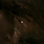 Dankeskarte braun gold 'Thank you' internationale Firma Rückseite