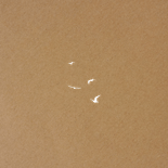 Foto-Dankeskarte Jugendweihe auf Kraftpapier mit Vögeln Rückseite