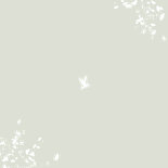 Fotokarte Einladung zur Jugendweihe Baum & Vogel Rückseite