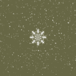 Fotokarte Weihnachten Schneeflocken Rückseite
