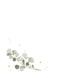 Beileidskarte Englisch Eukalyptus 'Deepest Sympathy' 2