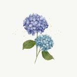 Beileidskarte Hortensien lila & blau 'Zum Abschied' 2