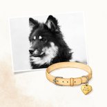 Beileidskarte Hundehalsband 'best friend' Herz Hund 2