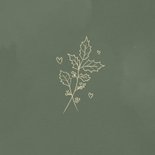 Botanische Weihnachtskarte Zweig Golddruck 2
