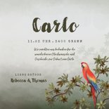 Dankeskarte zur Geburt Dschungel, Papagei Foto innen 3