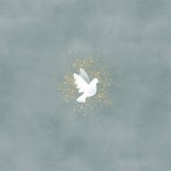 Danksagung zur Geburt Fotos mit Tauben blau Rückseite