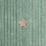 Firmen-Weihnachtskarte mit Label und Zweigen Rückseite