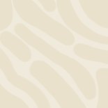 Firmungsjubilaeum einladung champagne DUITS KLAAR Rückseite