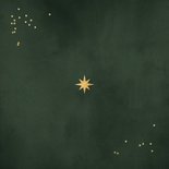 Foto-Dankeskarte geschäftlich Sterne Weihnachten grün Rückseite