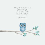 Geburtskarte blaue Eule kleiner Bruder 2