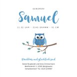 Geburtskarte Eule blau 3