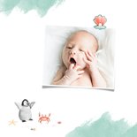 Geburtskarte mit Walross und Foto innen 2