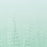 Geburtskarte Schildkröte und Fische Foto innen Rückseite