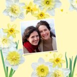 Geburtstagskarte Frühling Narzissen 'Alles Gute' 2