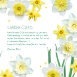 Geburtstagskarte Frühling Narzissen 'Alles Gute' 3