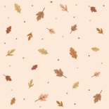 Geburtstagskarte Herbst Katze im Kürbis 2