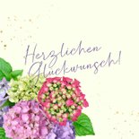 Geburtstagskarte Hortensien lila & pink 2