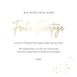 Geschäftliche Fotokarte Weihnachten 'Frohe Feiertage' 3