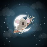 Glückwunschkarte Koala Nachthimmel Geburt  2